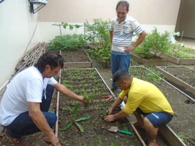 Presos do Amazonas aprendem técnicas de cultivo de hortaliças em projeto “Plantando a Liberdade”