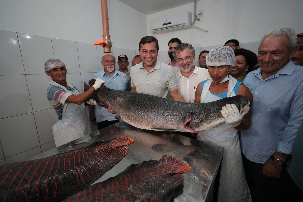 Wilson Lima destaca incentivo à cadeia produtiva do pirarucu manejado com novas unidades de beneficiamento, em Fonte Boa