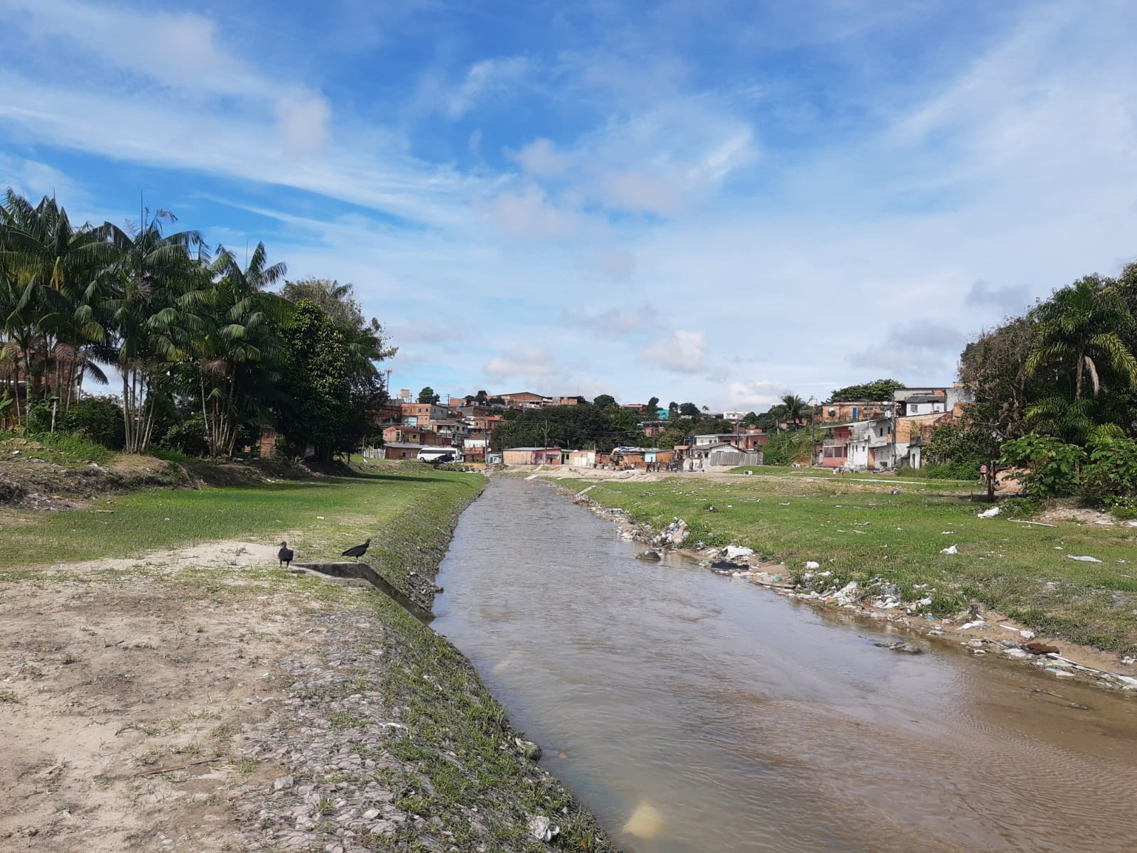 Prefeitura de Manaus realiza ação ambiental pelo Dia Internacional das Florestas