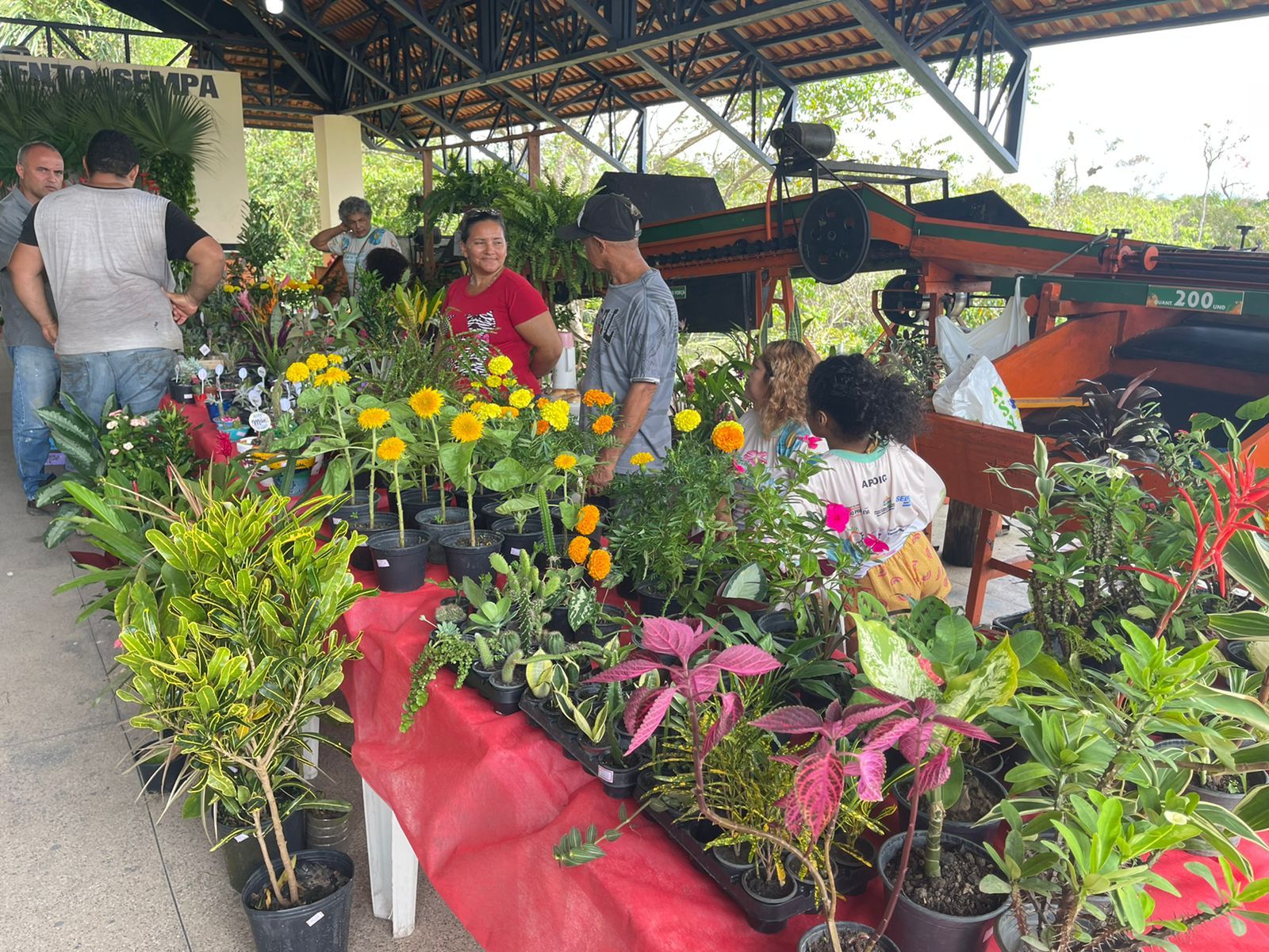 Fim de semana tem exposição de flores e plantas ornamentais em Rio Preto da Eva