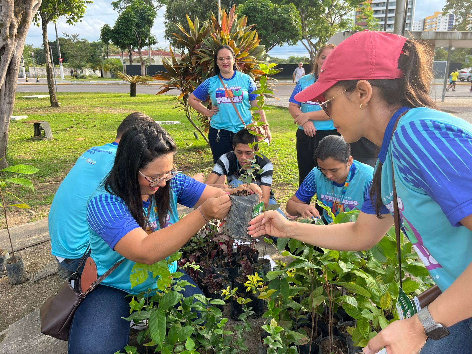 Prefeitura de Manaus distribui mudas de plantas nativas como medida compensatória das obras do Local Casa de Praia