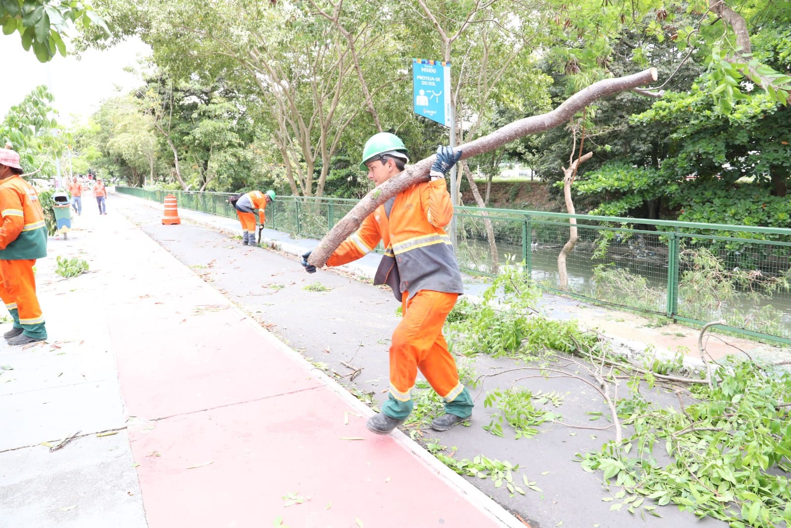 Passeio do Mindu recebe poda de árvores da Prefeitura de Manaus