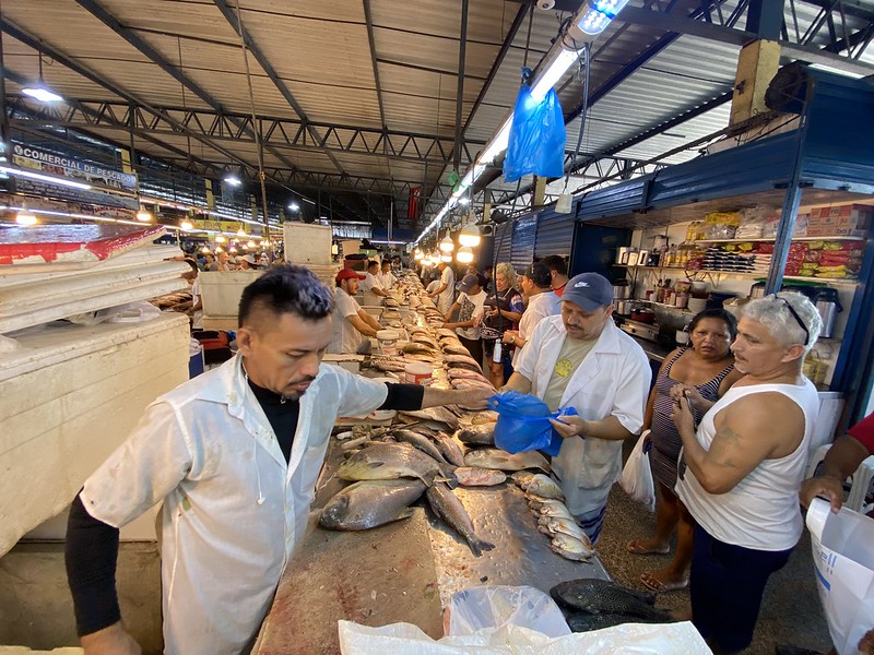 Feirantes da Manaus Moderna trabalham com novos equipamentos doados pela Prefeitura de Manaus