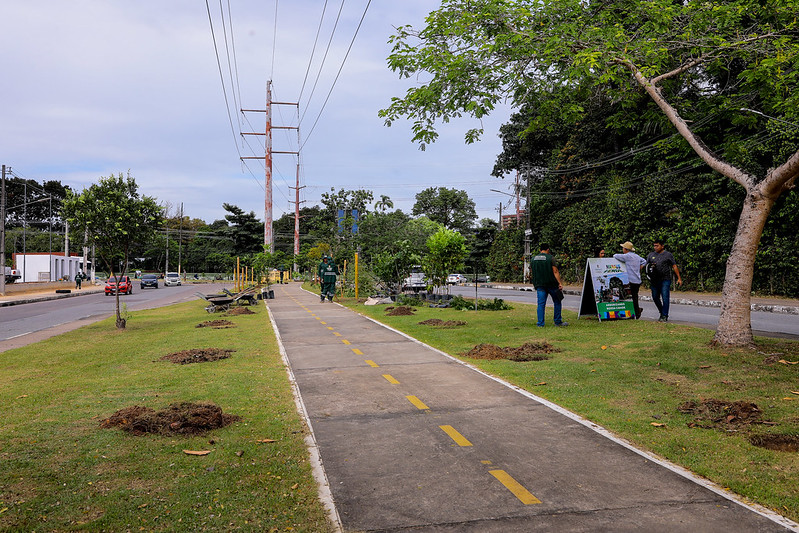 Prefeitura de Manaus realiza o plantio de 230 mudas de plantas nesta sexta-feira