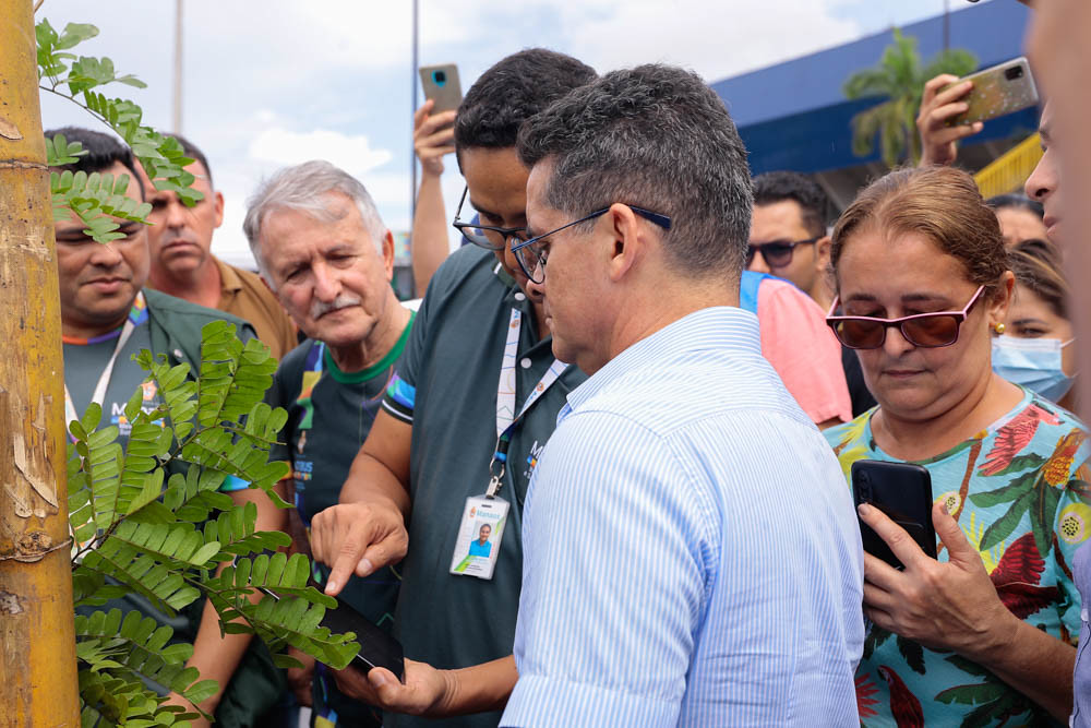 Prefeitura lança aplicativo para gerenciar ações de arborização na cidade