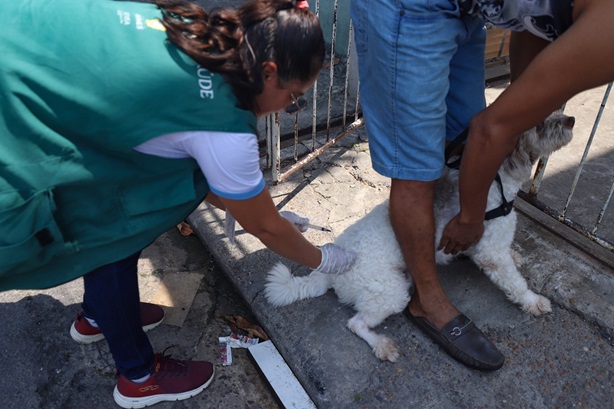 Prefeitura de Manaus segue com campanha de vacinação antirrábica animal, de 6 a 11/11