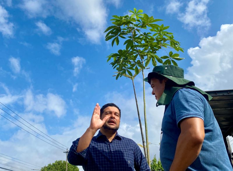 Prefeitura de Manaus realiza ação de arborização na avenida Constantino Nery